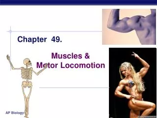 Muscles &amp; Motor Locomotion