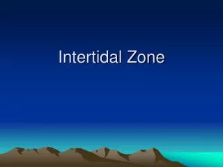intertidal zone