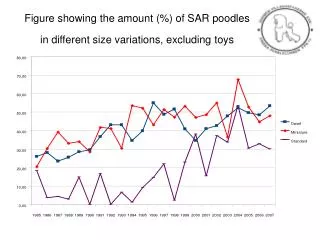 Figure showing the amount (%) of SAR poodles in different size variations, excluding toys