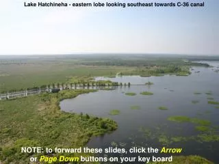 Lake Hatchineha - eastern lobe looking southeast towards C-36 canal