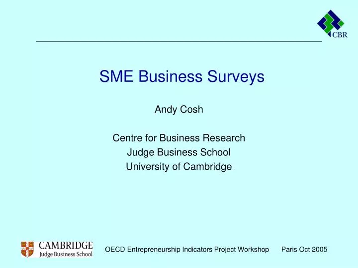 sme business surveys