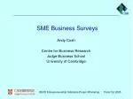 SME Business Surveys - slide 1