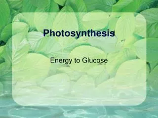 Photosynthesis