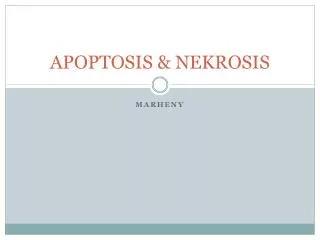 apoptosis nekrosis
