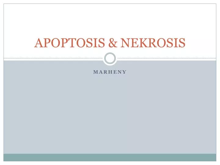 apoptosis nekrosis
