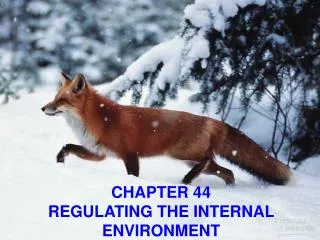CHAPTER 44 REGULATING THE INTERNAL ENVIRONMENT
