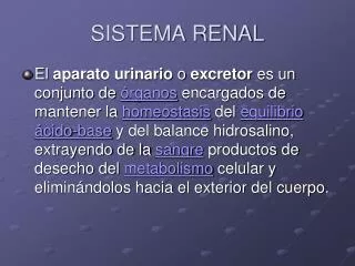 sistema renal