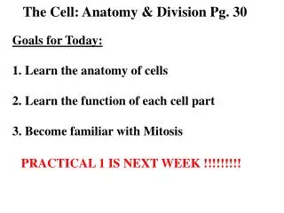 The Cell: Anatomy &amp; Division Pg. 30