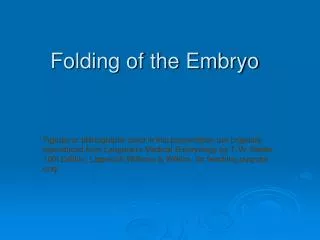 Folding of the Embryo