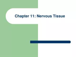 Chapter 11: Nervous Tissue