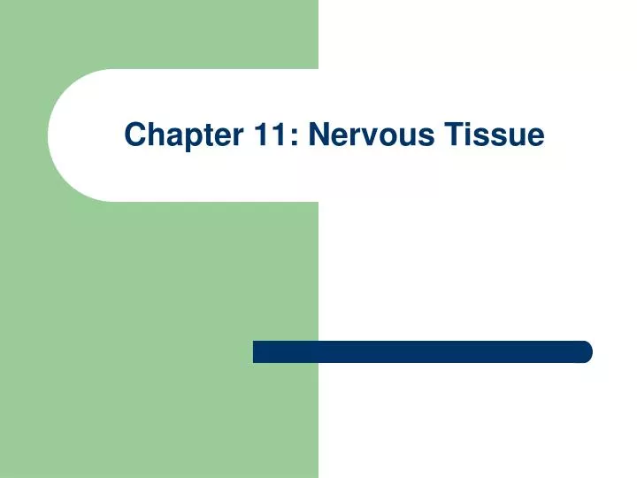 chapter 11 nervous tissue