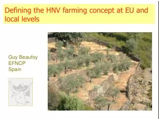 Defining the HNV farming concept at EU and local levels