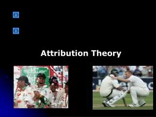 Attribution Theory