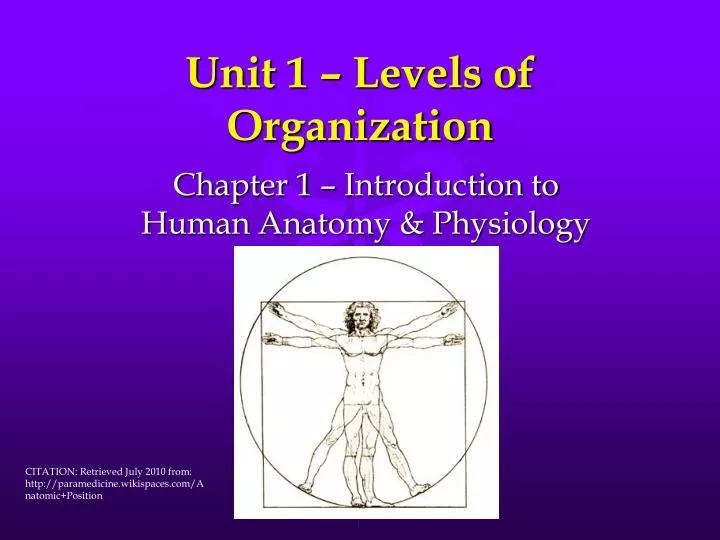 unit 1 levels of organization