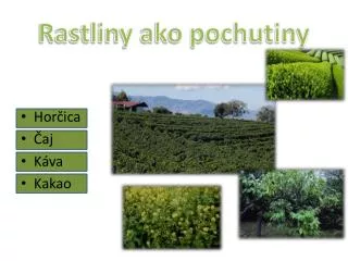 rastliny ako pochutiny