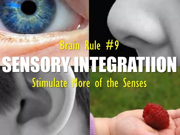 brain rule 9 sensory integratiion