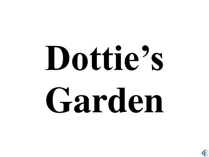 dottie s garden