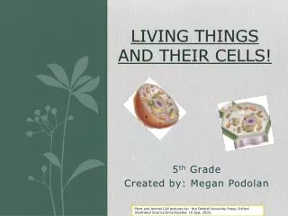 Living Things and their cells!