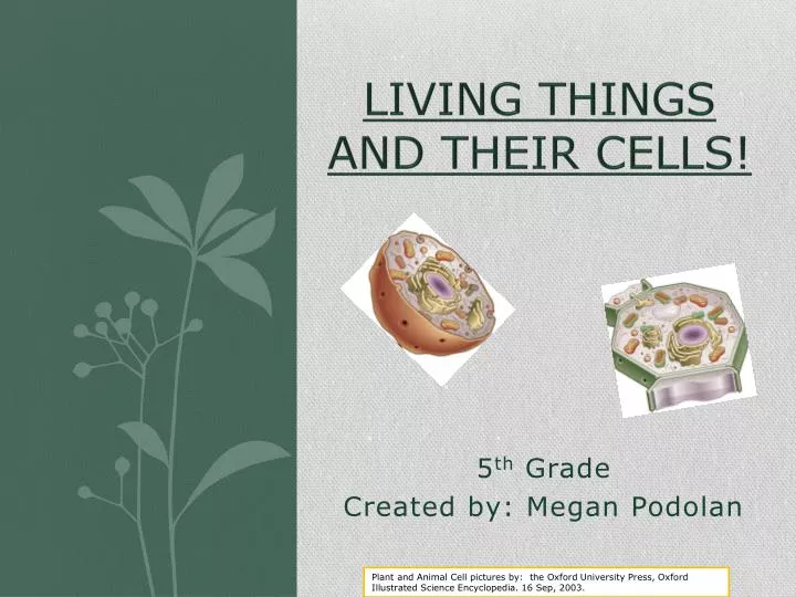living things and their cells
