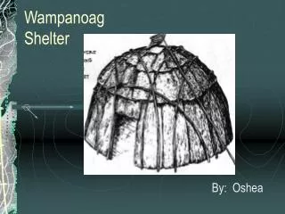 Wampanoag Shelter