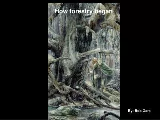 How Forestry Began