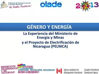 La Experiencia del Ministerio de Energía y Minas