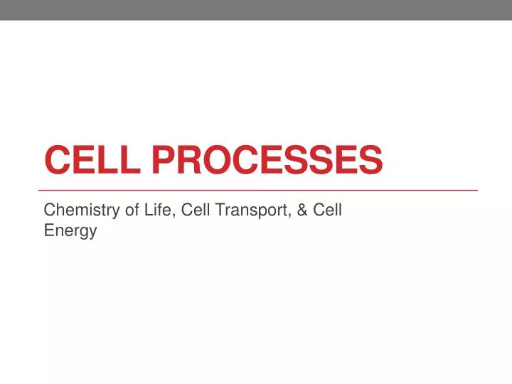 cell processes
