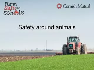 Safety around animals