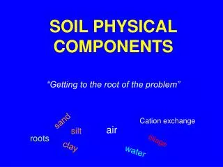 SOIL PHYSICAL COMPONENTS