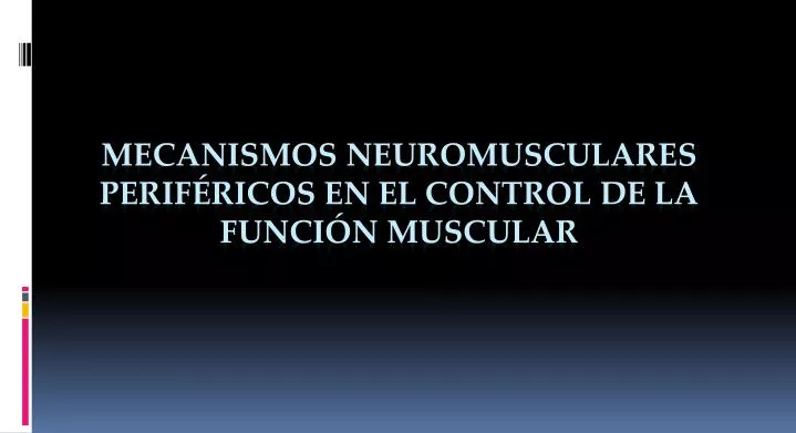 mecanismos neuromusculares perif ricos en el control de la funci n muscular