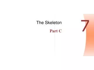 The Skeleton Part C