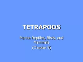 TETRAPODS