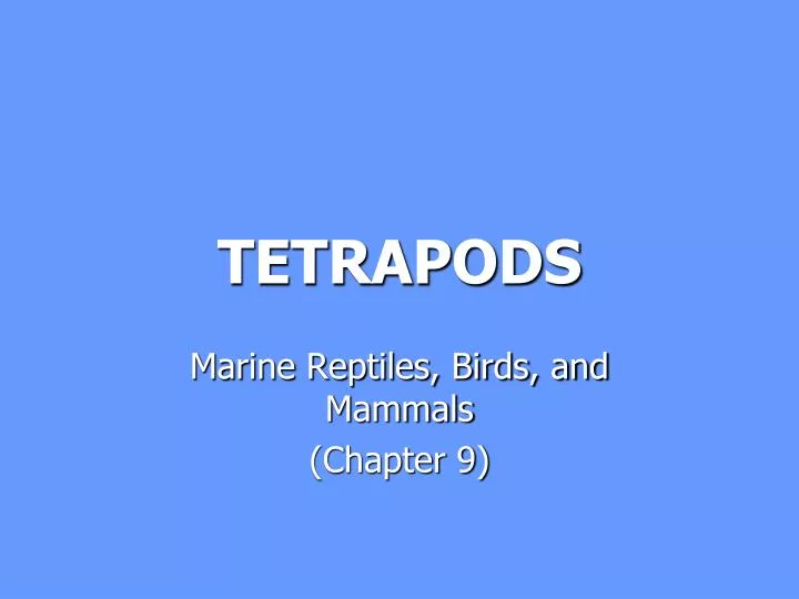 tetrapods