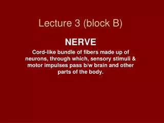 Lecture 3 (block B)