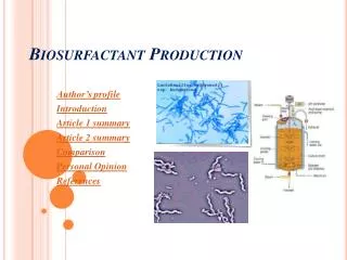 Biosurfactant Production