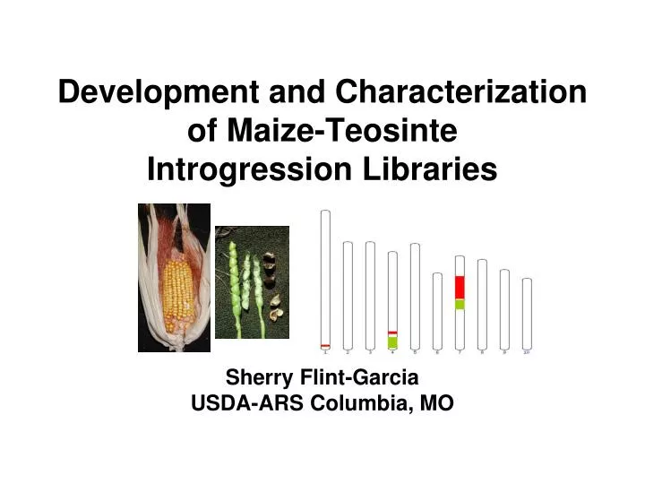 development and characterization of maize teosinte introgression libraries