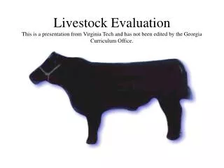 Slaughter Cattle Evaluation Terms for understanding