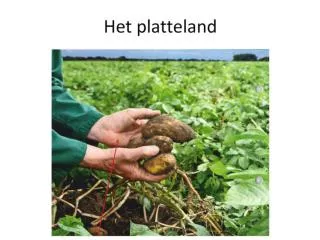 het platteland