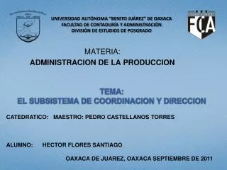 tema el subsistema de coordinacion y direccion