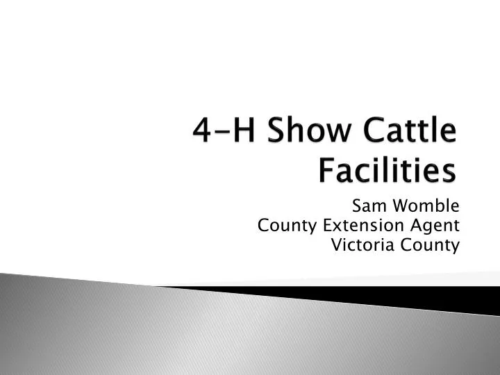 4 h show cattle facilities