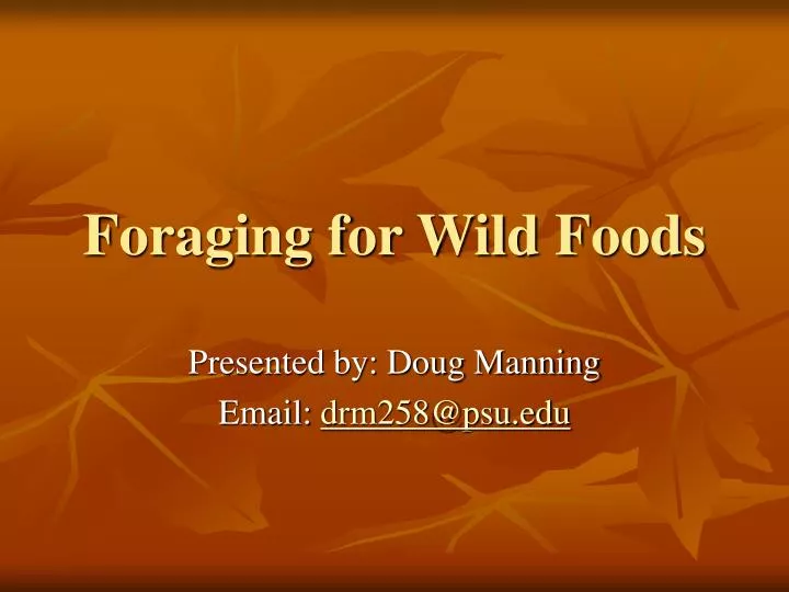 foraging for wild foods