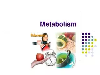 Metabolism