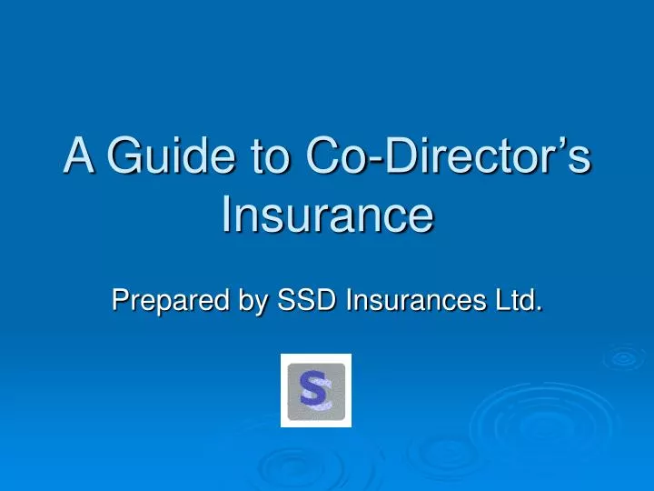 a guide to co director s insurance