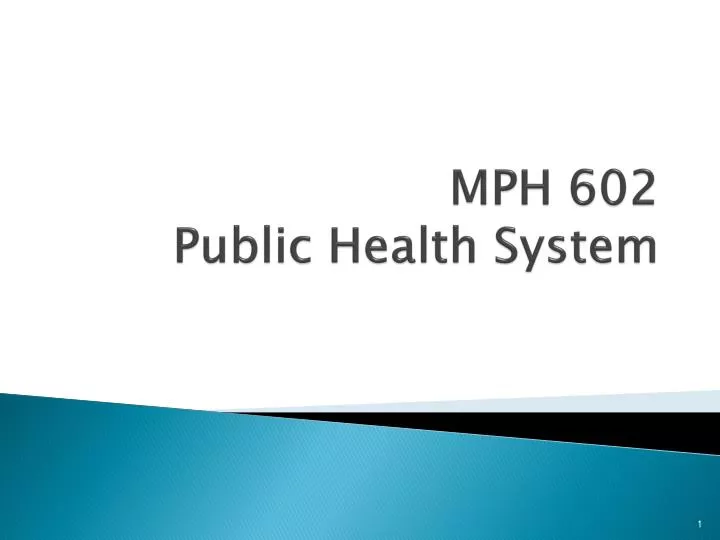 mph 602 public health system
