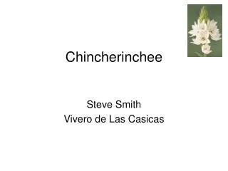 Chincherinchee