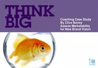 Coaching Case Study By Clive Bonny Assess Marketability for New Brand Vision