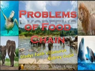 Problems of Food Chain