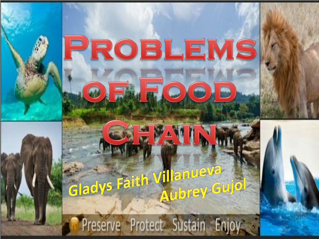PPT - Understanding Food Chains: Ecosystems, Energy Flow, and Human ...