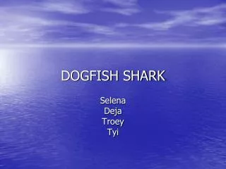 DOGFISH SHARK