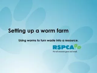 Setting up a worm farm